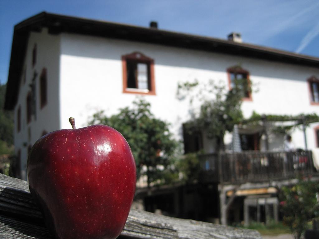 Gruberhof Villa San Genesio Atesino Luaran gambar