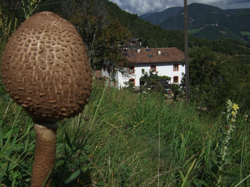 Gruberhof Villa San Genesio Atesino Luaran gambar